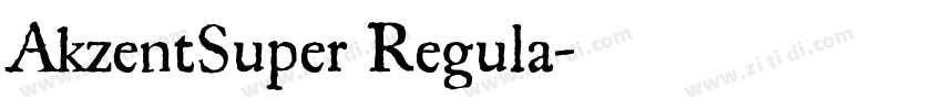 AkzentSuper Regula字体转换